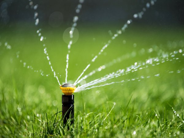 Different Types of Lawn Sprinkler Heads - Gardening Site