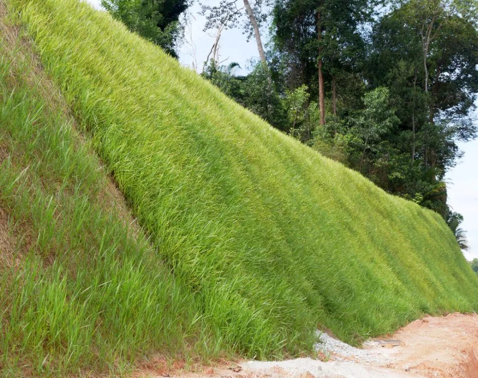 Hydro store seeding grass