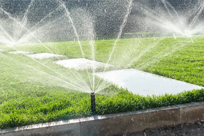 Types of Irrigation Filters and How to Maintain Them💦🌱