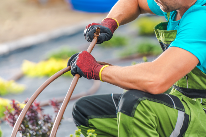 simmons-winterization
